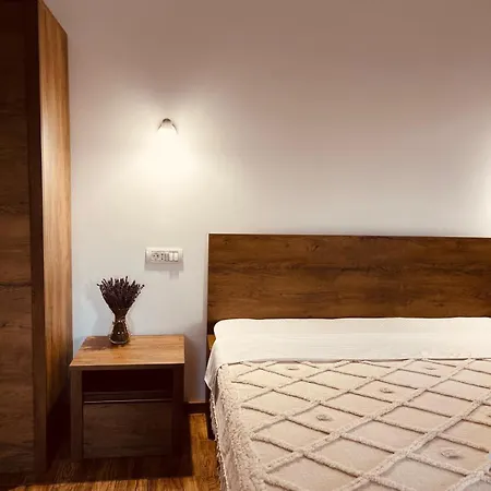 Guest house Agropensiunea Cristian *